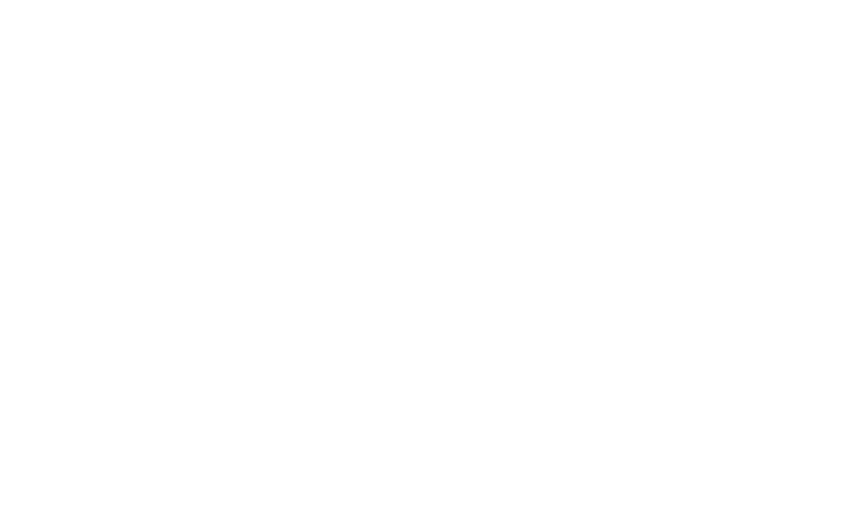 Insight IT Solution custemer service